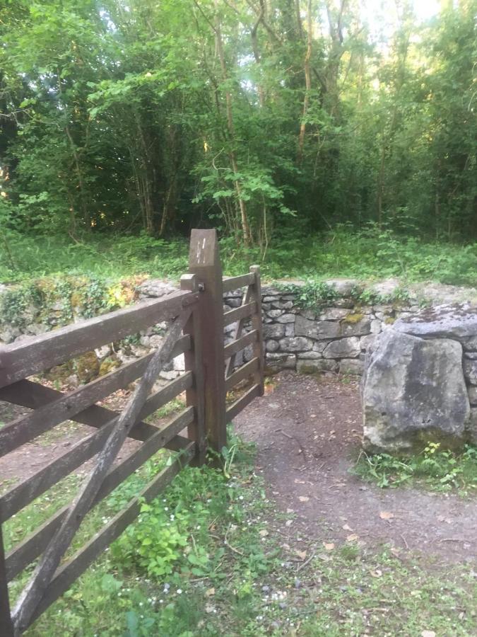 Sallys Cabin Kilcolgan Zewnętrze zdjęcie