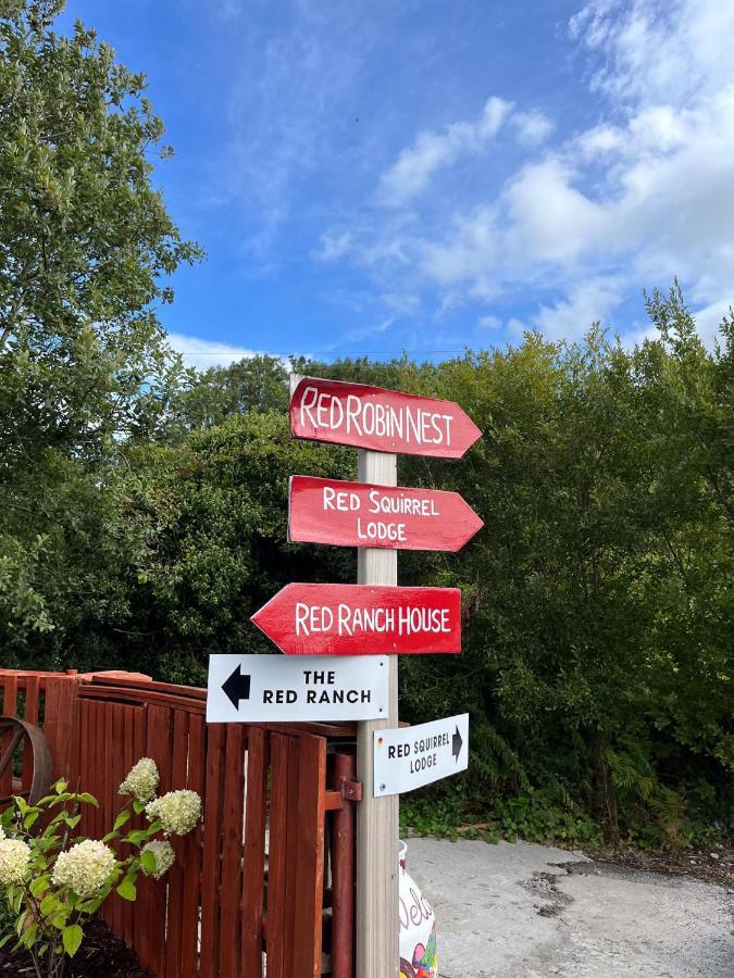 Sallys Cabin Kilcolgan Zewnętrze zdjęcie